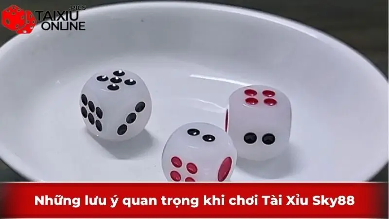 Những lưu ý quan trọng khi chơi Tài Xỉu Sky88