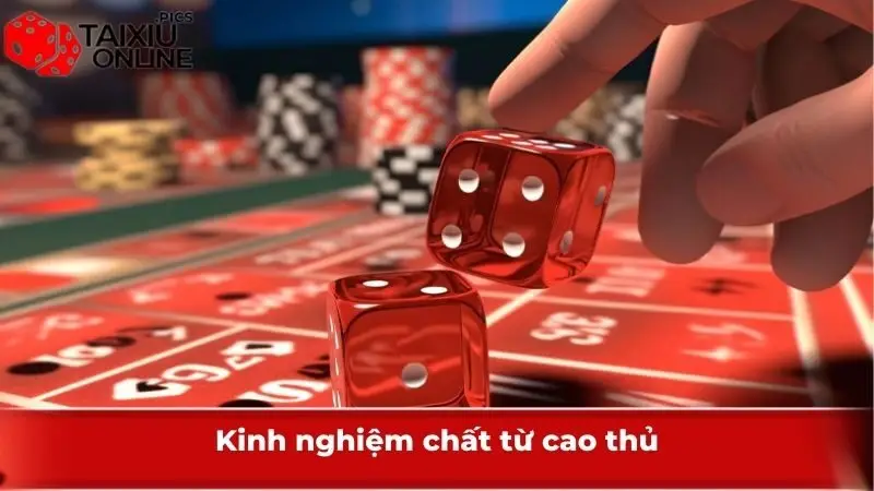 Kinh nghiệm chất từ cao thủ